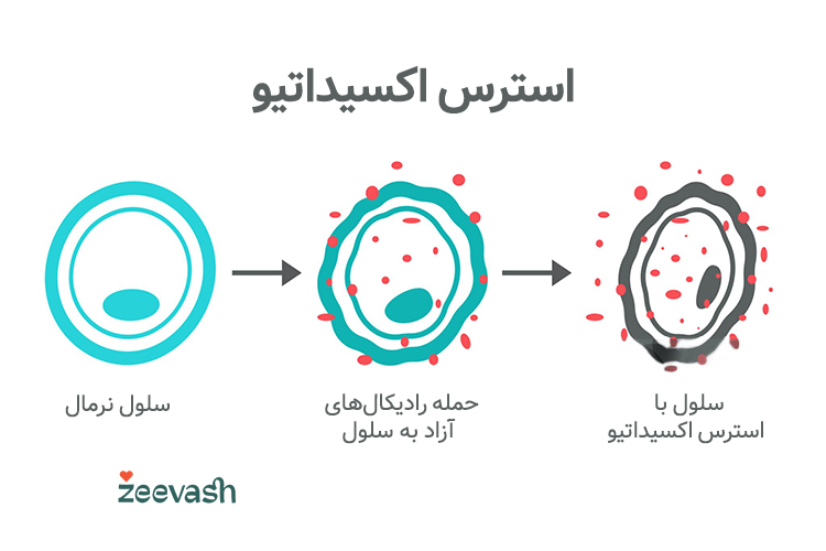 استرس اکسیداتیو